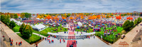 Grange Grove Pano