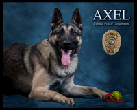 AXEL