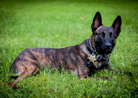 Chad & K9 Arco